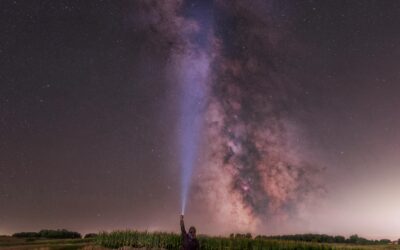 Best Stargazing Apps for Beginners in 2026: Discover the Night Sky with Your Phone