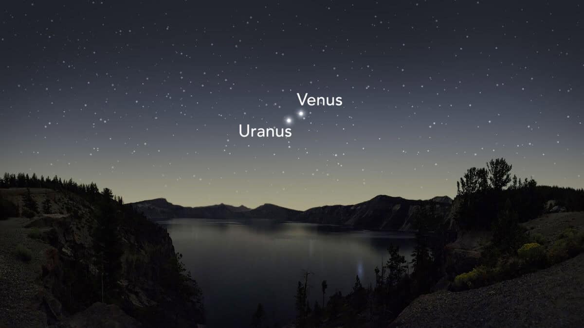 How To Identify Venus