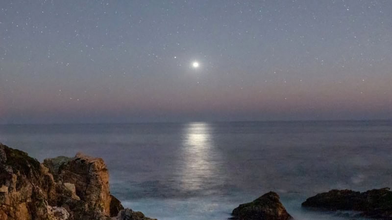 How To Identify Venus