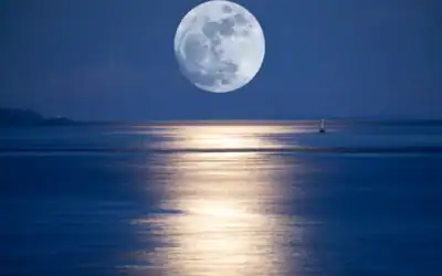 Why Does The Moon Look Bigger Near The Horizon? 7 Fascinating Facts Explained